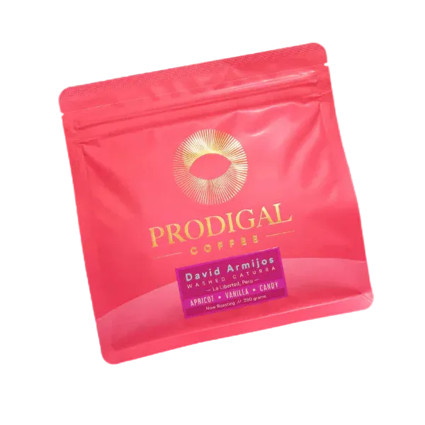 L'Enfant prodigue - David Armijos