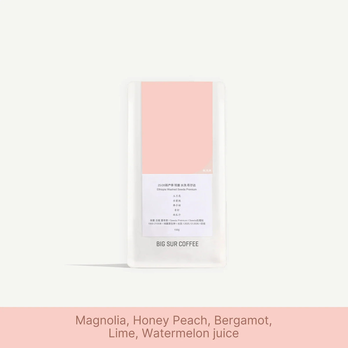 Big Sur Coffee - Sewda G1 Premium - 25/26 New Season - Ethiopia - Washed
