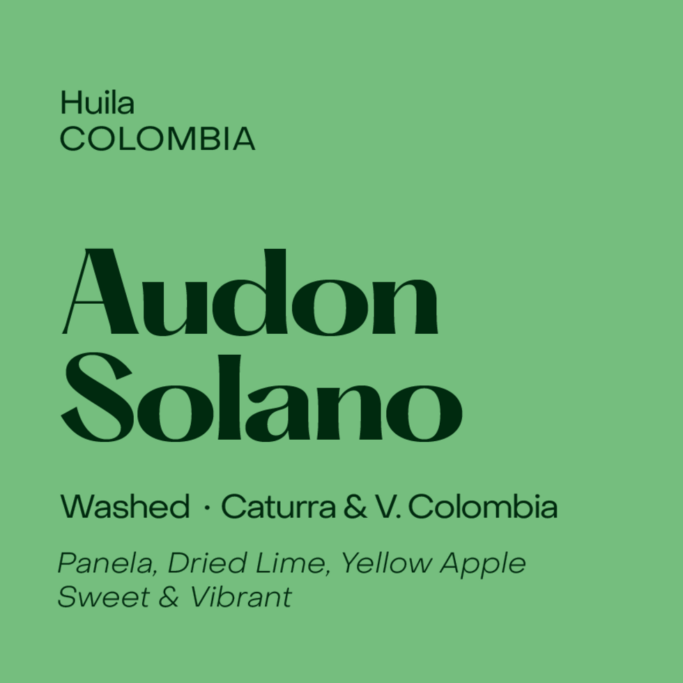 Subtext - Audon Solano - Colombia - Washed - Caturra, V. Colombia