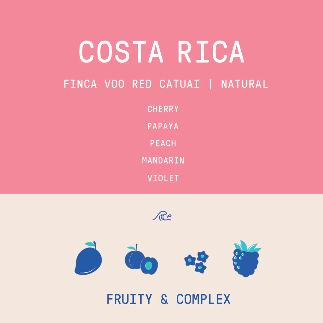 Rogue Wave Coffee - Finca VOO Red Catuai