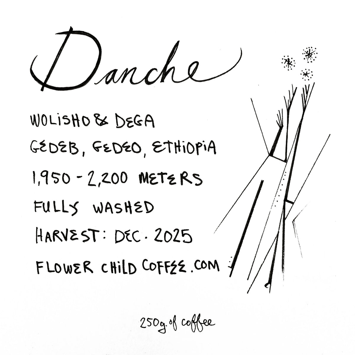 Coffee information card for Flower Child Coffee - Danche