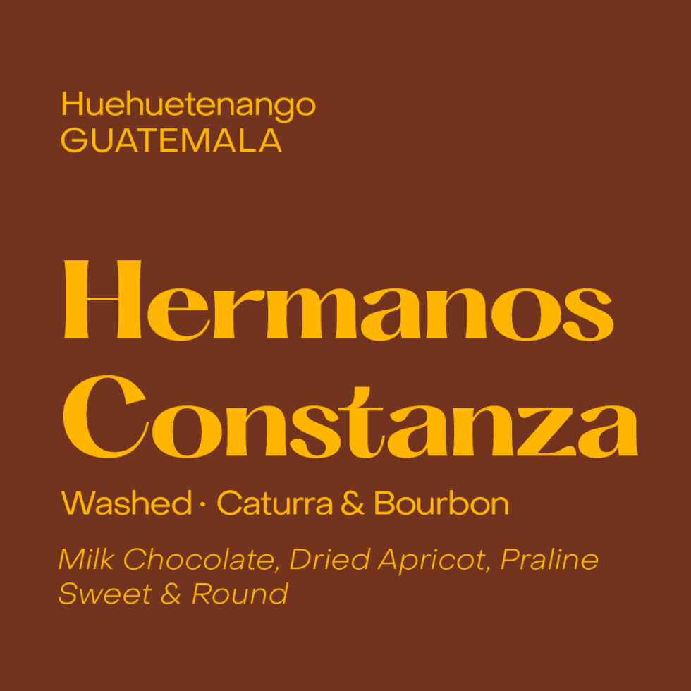 Subtext - Guatemala Hermanos Constanza - Washed - Caturra, Bourbon