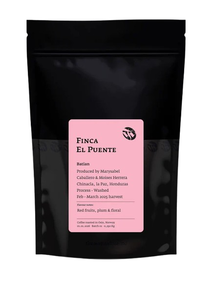 TIM WENDELBOE - Finca El Puente | Honduras - Washed - Batian