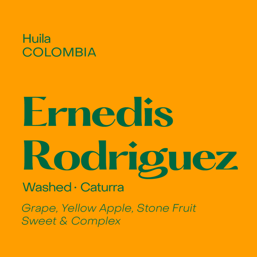 Subtext - Ernedis Rodriguez - Colombia - Washed - Caturra