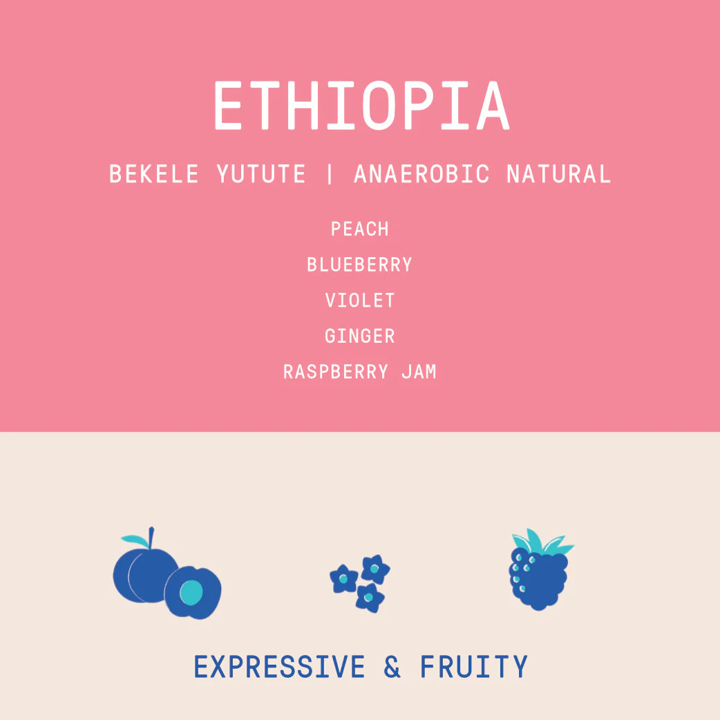Rogue Wave Coffee - Ethiopia - Bekele Yutute - Anaerobic Natural