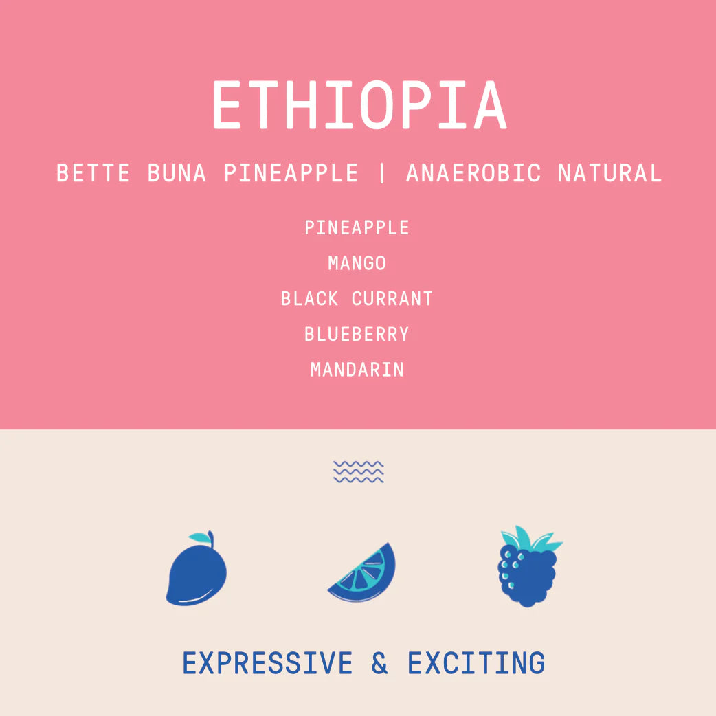 Rogue Wave Coffee - Ethiopia - Bette Buna Taferi Kela Pineapple Co-Ferment