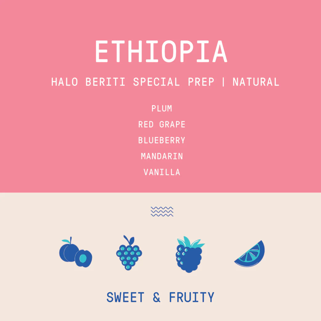 Rogue Wave Coffee - Ethiopia - Halo Beriti - Special Prep Natural