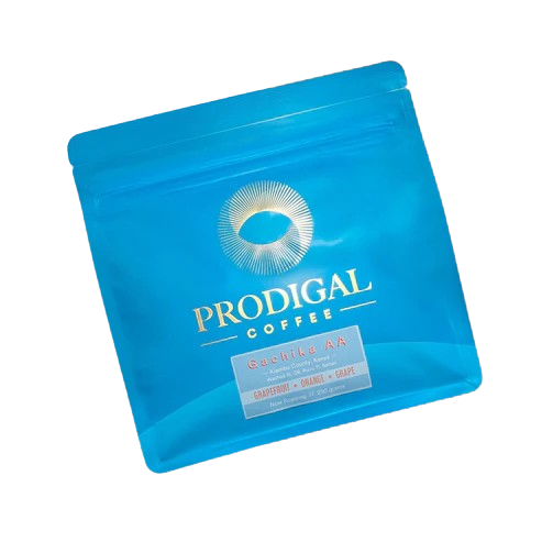 PRODIGAL - Gachika AA