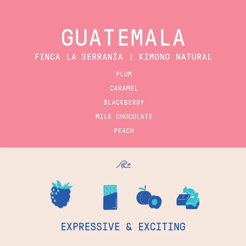 Rogue Wave Coffee - Guatemala - La Serrania Kimono