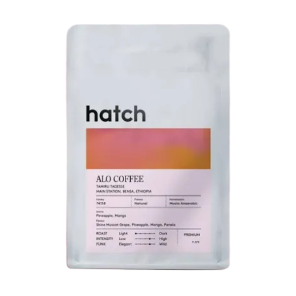 HATCH - Alo Coffee