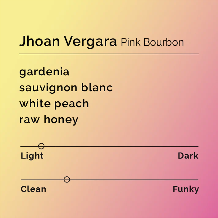 Black & White Roasters – Jhoan Vergara - Pink Bourbon