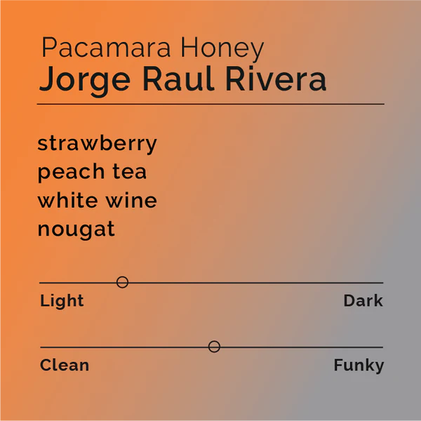 Black &White Roasters – Jorge Raul Rivera - Pacamara Honey