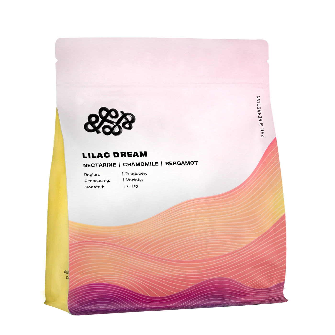 PHIL & SEBASTIAN - Lilac Dream