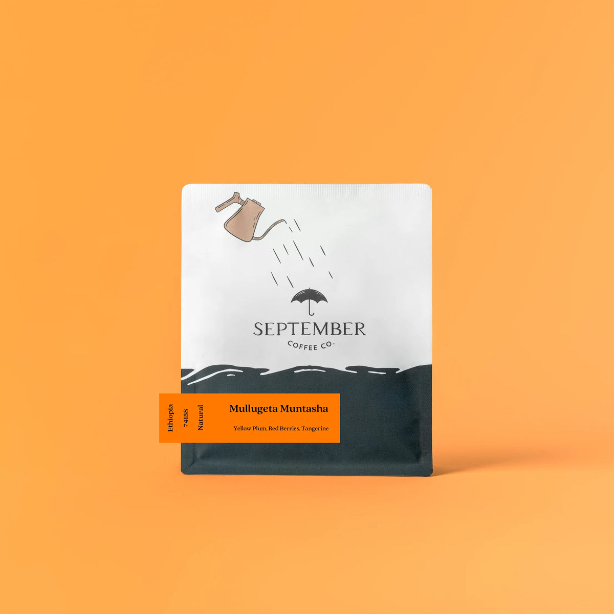 September - Mullugeta Muntasha - Ethiopia Natural 74158