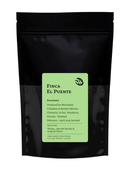 TIM WENDELBOE - Finca El Puente | Honduras - Washed - Pacamara