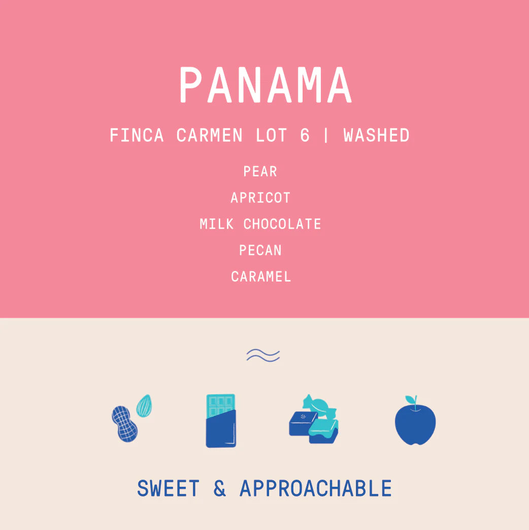 Rogue Wave Coffee - Panama - Carmen Estate Caturra Lot 6 - Washed