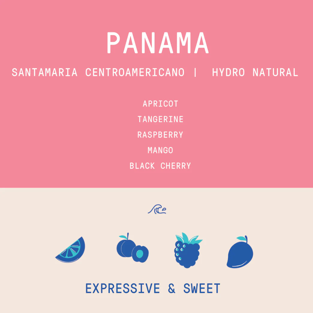 Rogue Wave Coffee - Santamaria Estate Centroamericano