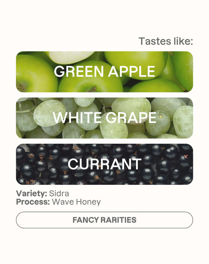 MONOGRAM - Pepe Jijon