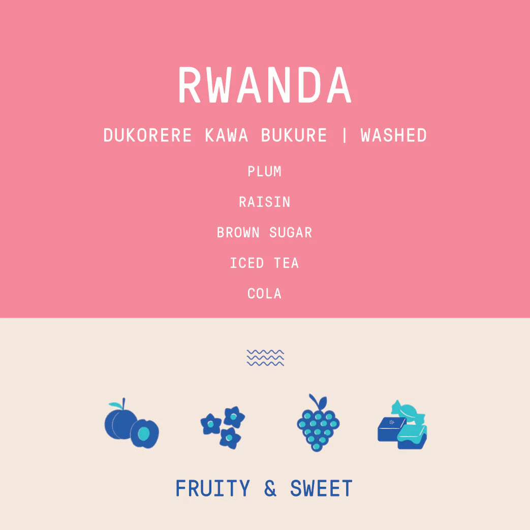 Rogue Wave Coffee - Rwanda - Dukorere Kawa Bukure Lot 5 | Washed