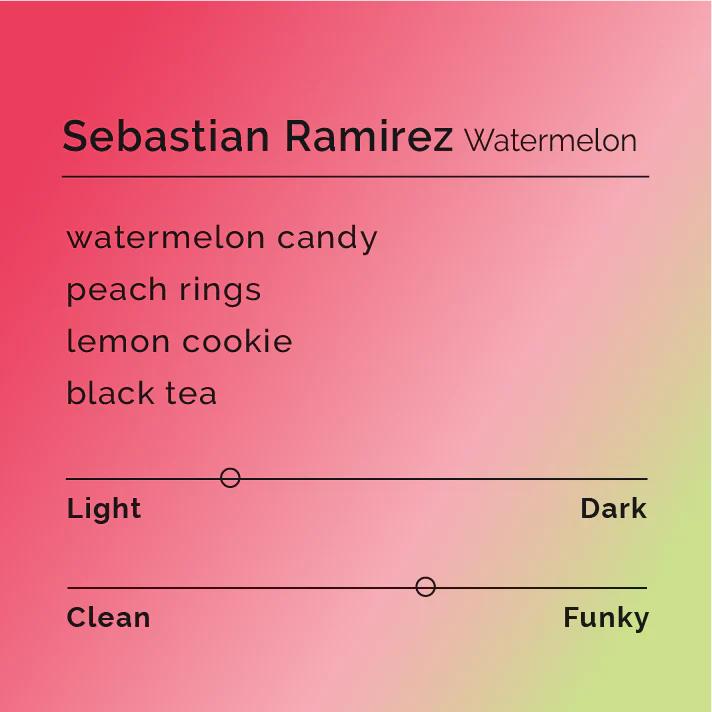 Black & White Roasters – Sebastian Ramirez - Watermelon