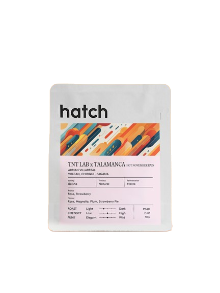 HATCH - TNT Lab x Talamanca Hot November Rain - Panama - Geisha Natural