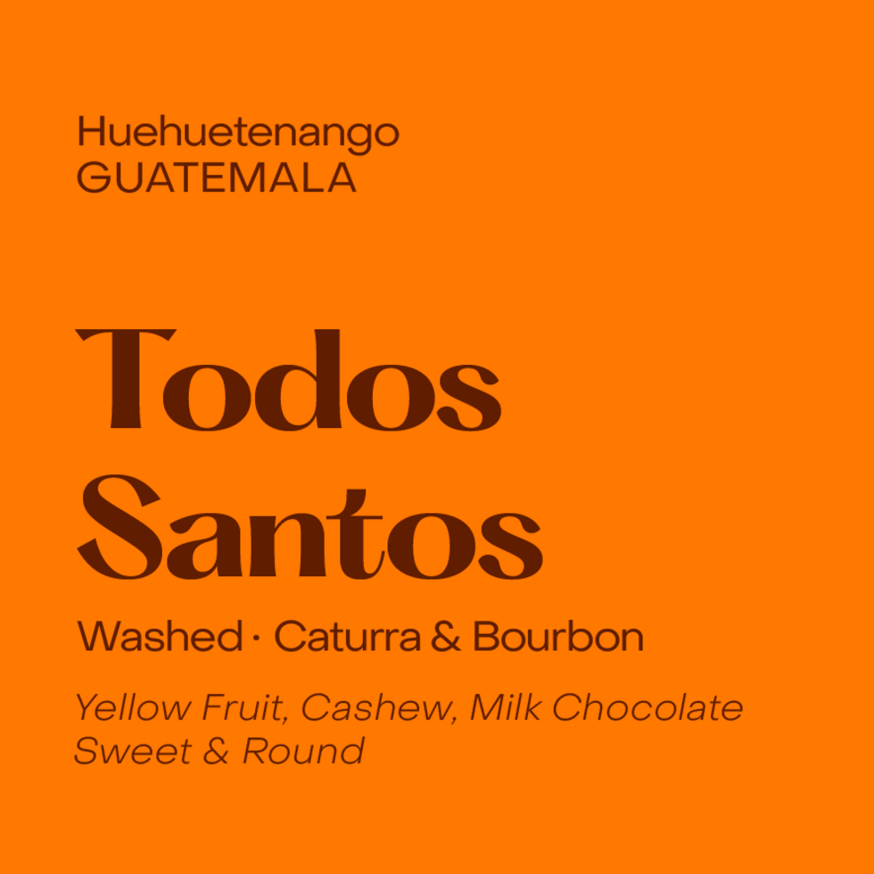 Subtext - Todos Santos - Guatemala - Washed - Caturra, Bourbon