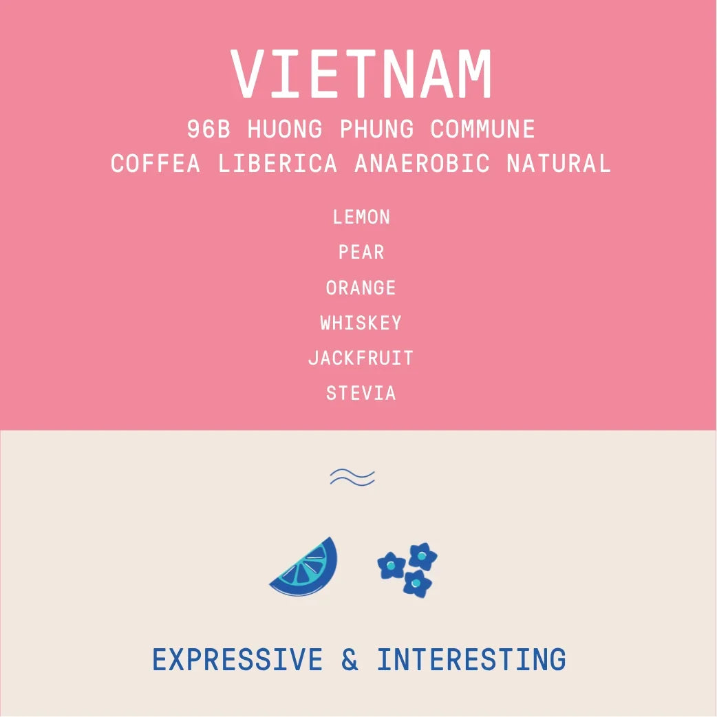 Rogue Wave Coffee - Vietnam 96B Huong Phung Commune Liberica - additional product photo