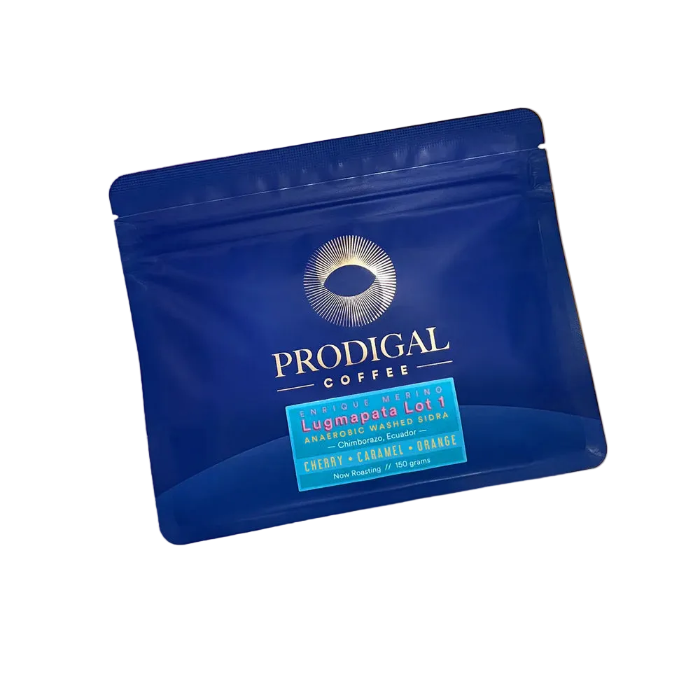 PRODIGAL - Lot Lugmapata 1