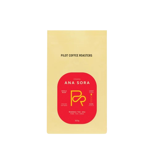 Pilot Coffee - Catalan « Natural »