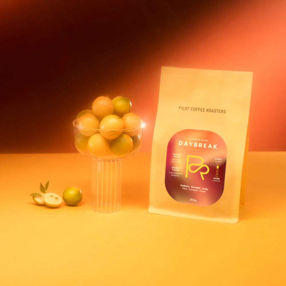 Pilot Coffee Roasters - Daybreak SL-Series Blend