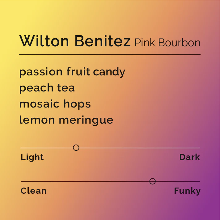 Black & White Roasters – Wilton Benitez - Pink Bourbon