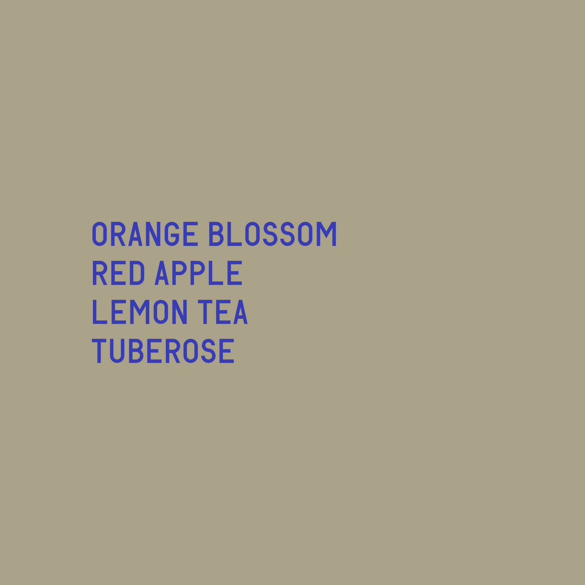 Tasting notes: Orange blossom, red apple, lemon tea, tuberose | Datura Coffee - Elida Estate Plano Gesha (Lamastus Family) - Panama - Washed ASD / DRD