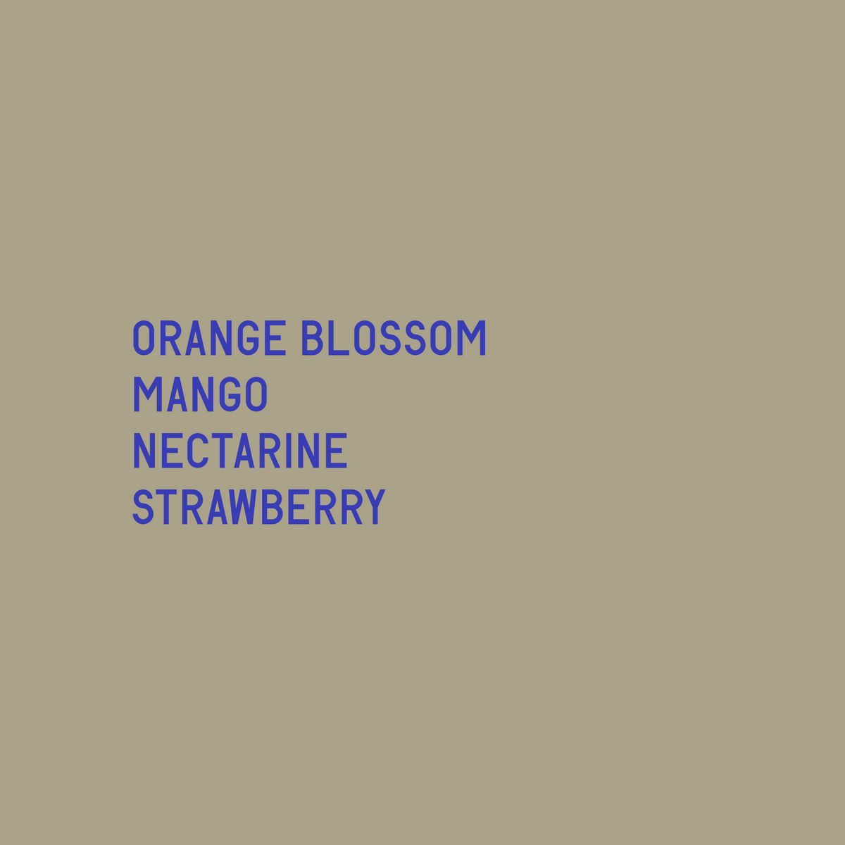 Tasting notes: Orange blossom, mango, nectarine, strawberry | Datura Coffee - Elida Estate Torre Gesha (Lamastus Family) - Panama - Natural SD