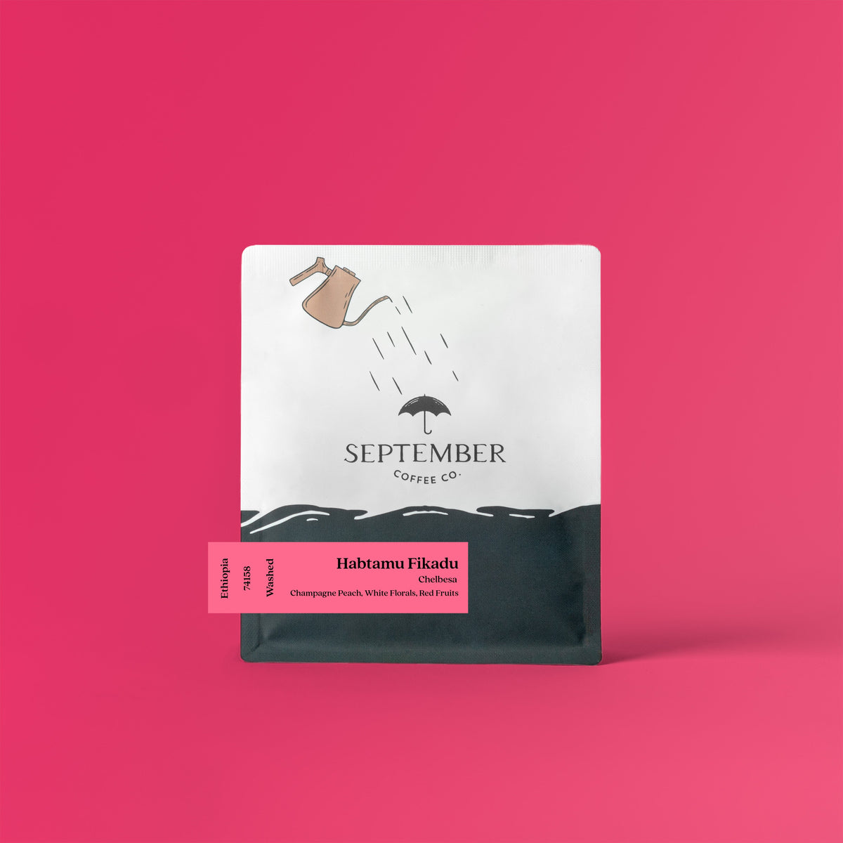 Coffee packaging for September - Habtamu Fikadu Chelbesa - Ethiopia Washed 74110 & 74158
