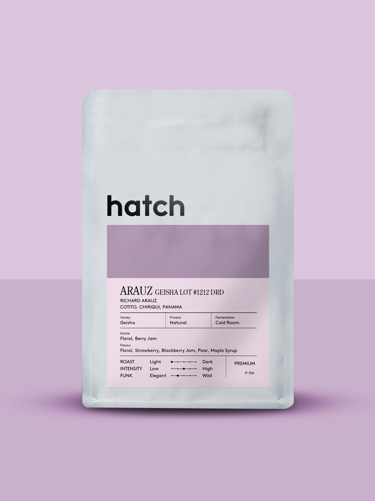 Hatch Coffee - Arauz Geisha Lot #1212 - Panama - Cold Room Natural (DRD)