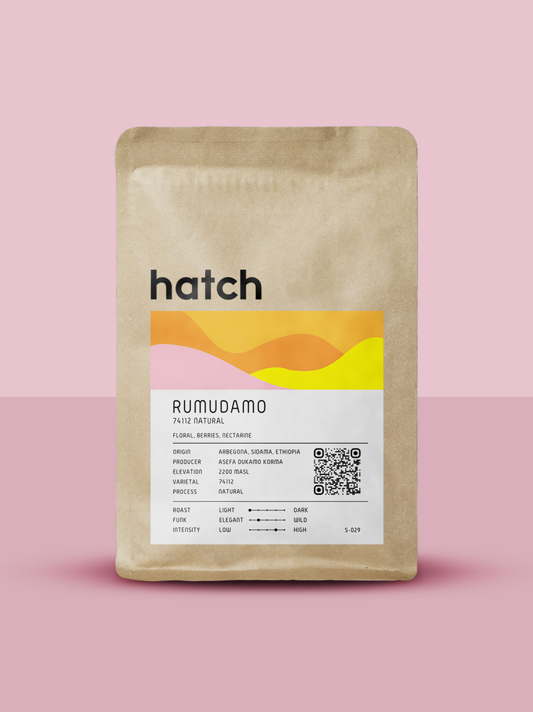 Hatch Coffee - Rumudamo - Ethiopia - Natural