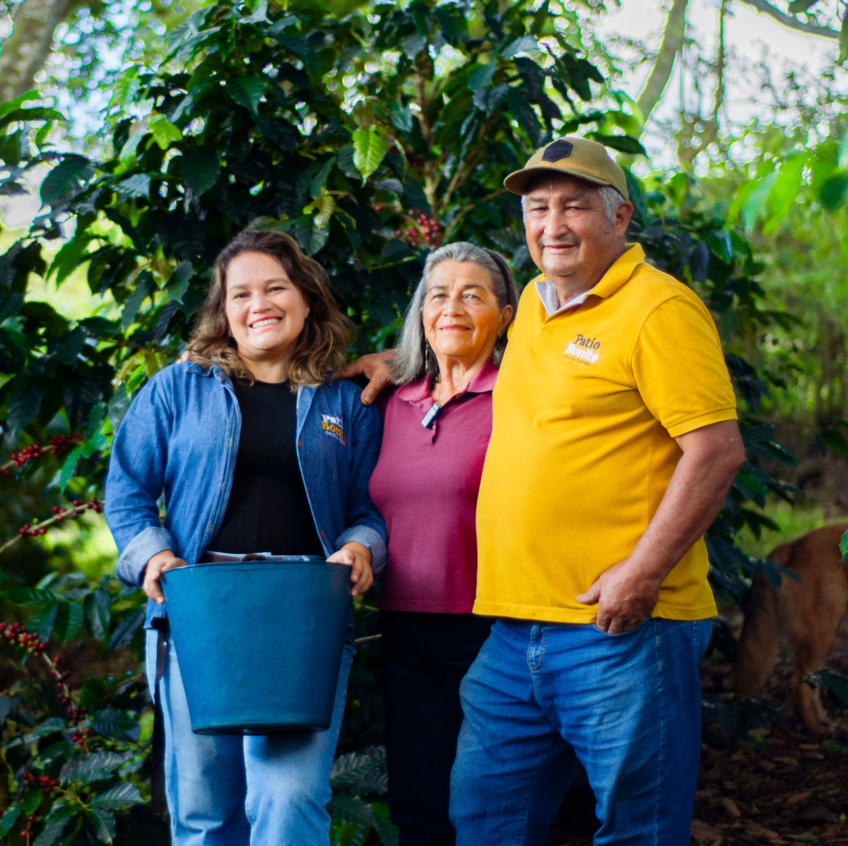 Mirra Coffee - Paola Trujillo - Colombia - Pink Bourbon 125g