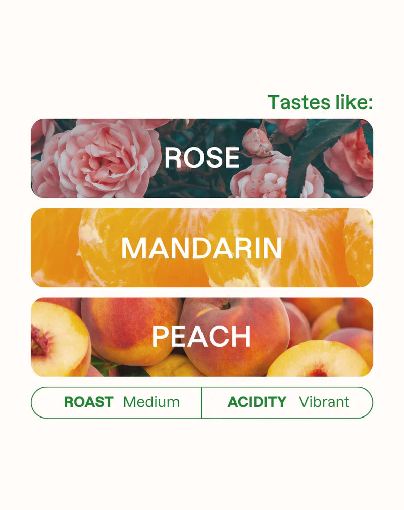 MONOGRAM - Quebraditas Sidra/Bourbon Espresso