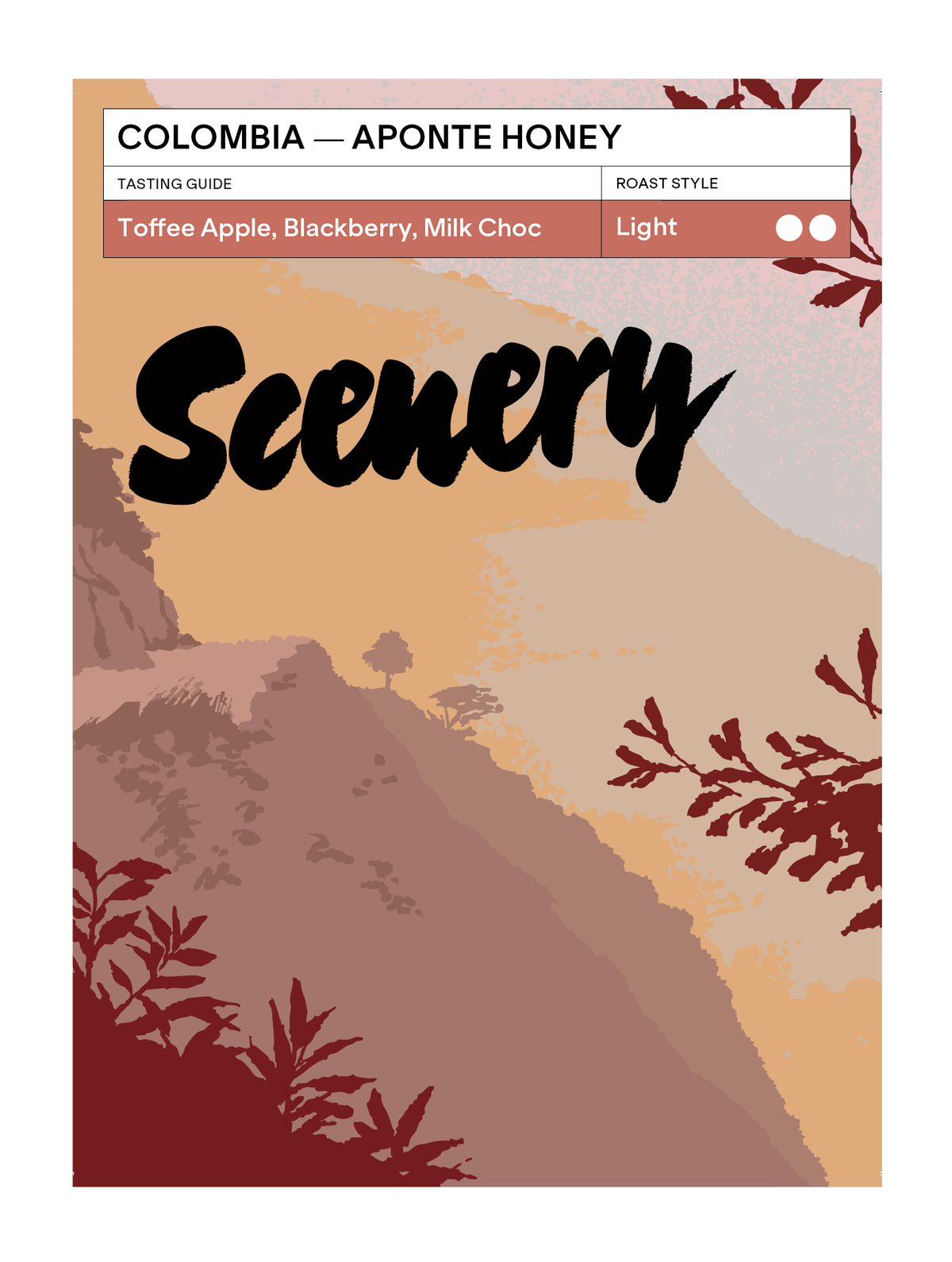 Scenery Coffee Roasters Aponte Honey Colombia 200g whole bean coffee