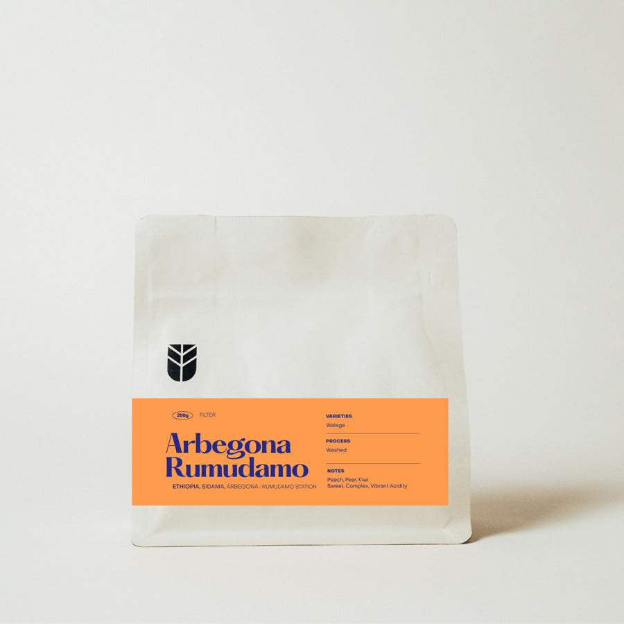 Subtext Coffee Roasters - Arbegona Rumudamo - Ethiopia - Washed - Walega 250g coffee bag