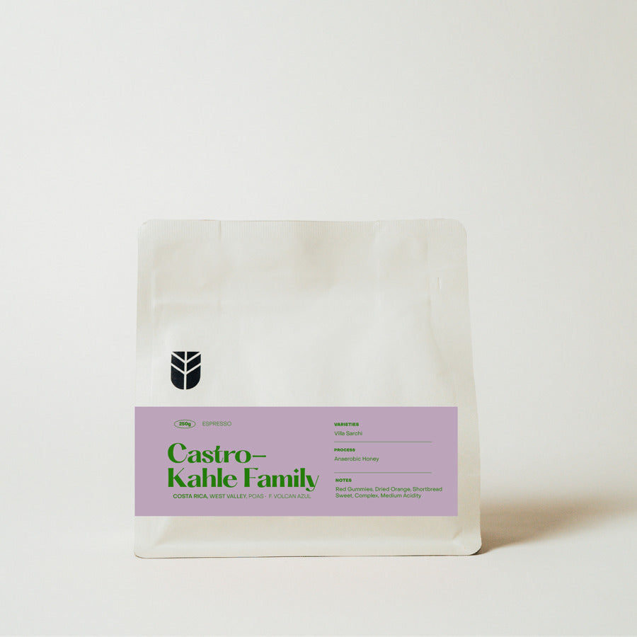 Subtext Coffee Roasters - Castro-Kahle Family Espresso - Costa Rica - Anaerobic Honey - Villa Sarchi 250g coffee bag