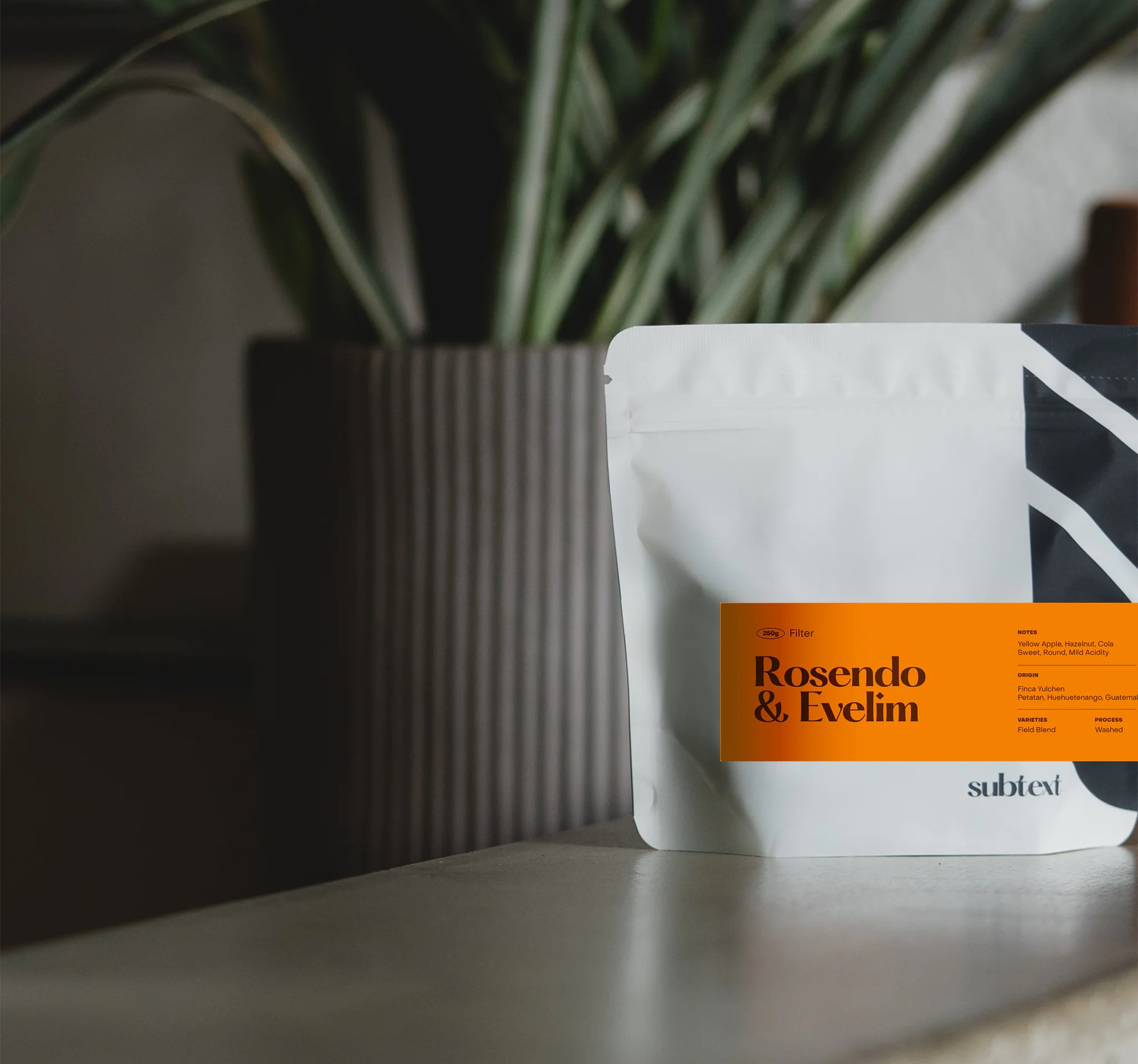 Subtext Coffee Roasters - Guatemala Rosendo & Evelim