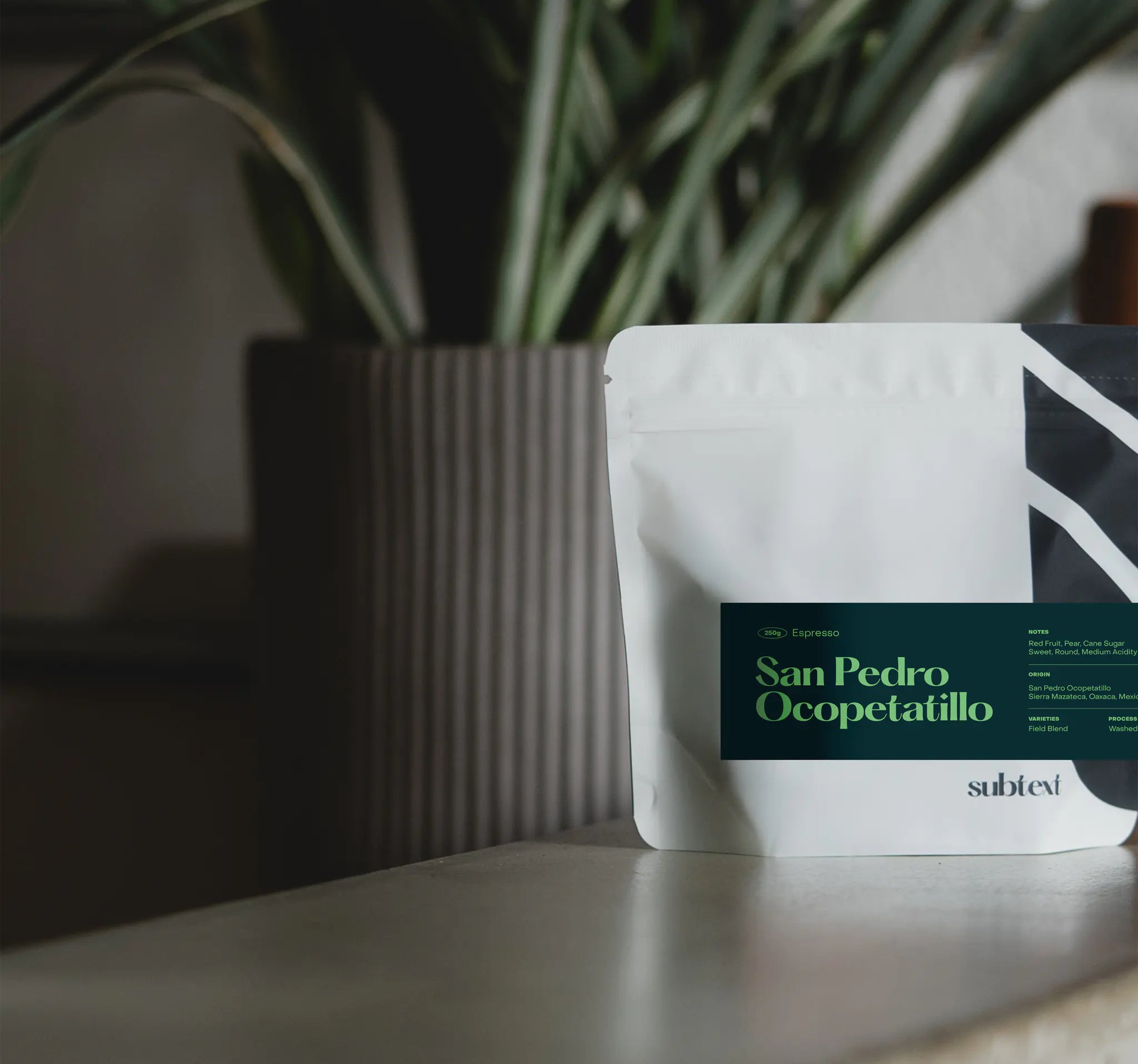 Subtext Coffee Roasters - Mexico San Pedro Ocopetatillo '25 Espresso