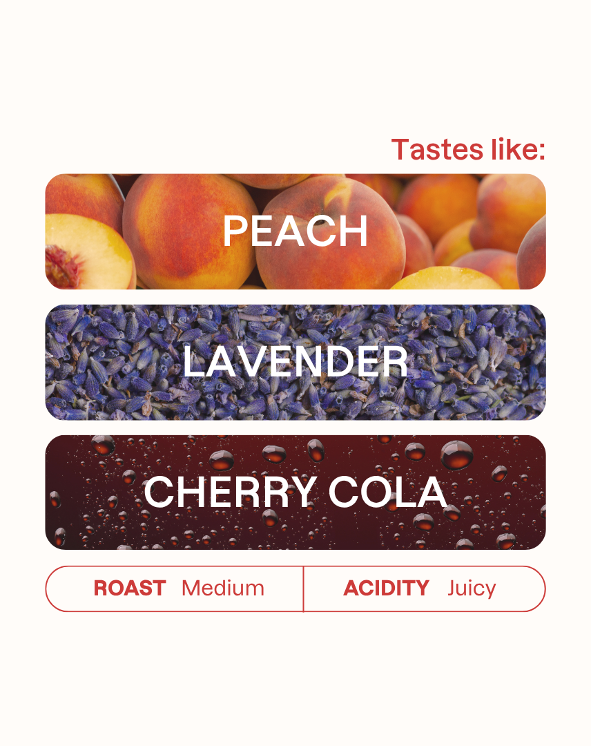 Monogram Gedeb Lalesa tasting notes and roast level