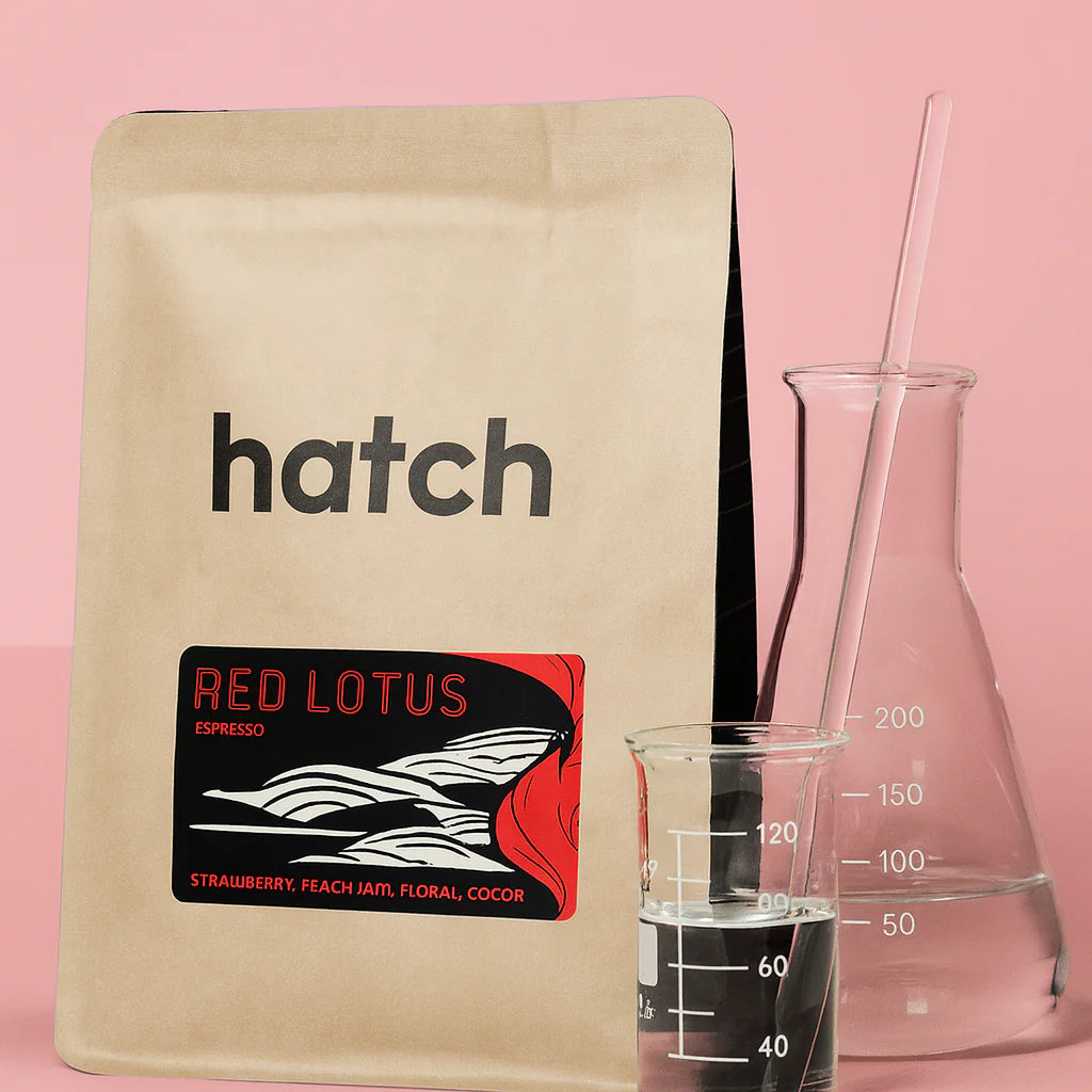 Hatch Tea Présentation de Hatch Coffee Roasters : précision, innovation et l’un
