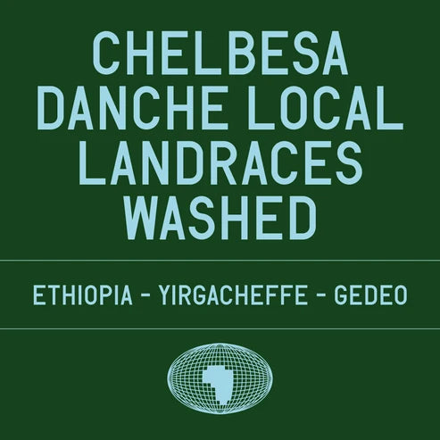 Datura Coffee Paris - Chelbesa Danche - Ethiopia - Local Landraces Washed