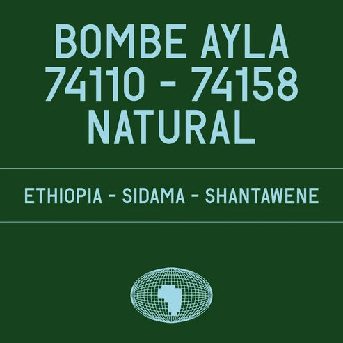 Datura Coffee Paris - Bombe Ayla - Ethiopia - 74110 - 74158 Natural