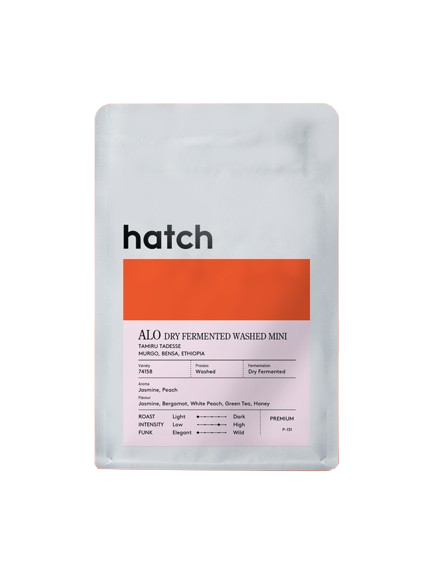HATCH -  Ethiopia - ALO Dry Fermented Washed Mini