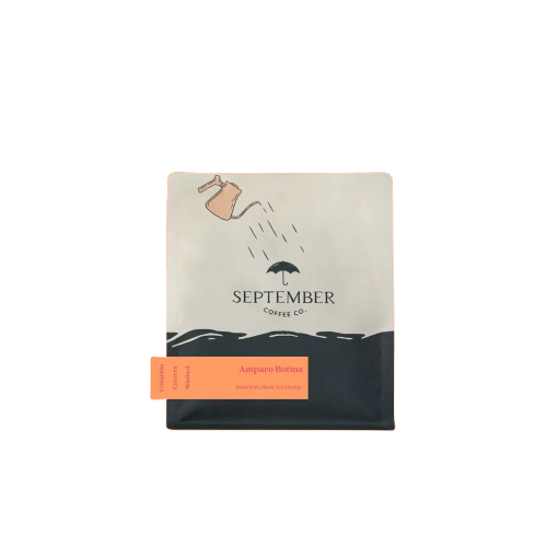 SEPTEMBER - Amparo Botina - Colombia Washed Caturra