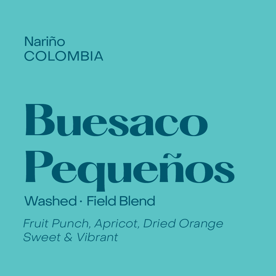 Subtext - Buesaco Pequenos - Washed - Colombia - Caturra, Castillo, V.